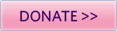 Donate Button