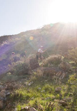 Photo of hikers
